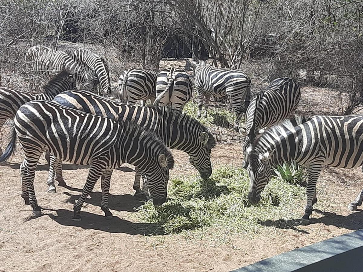 African Bush Escape 말로스 파크 외부 사진