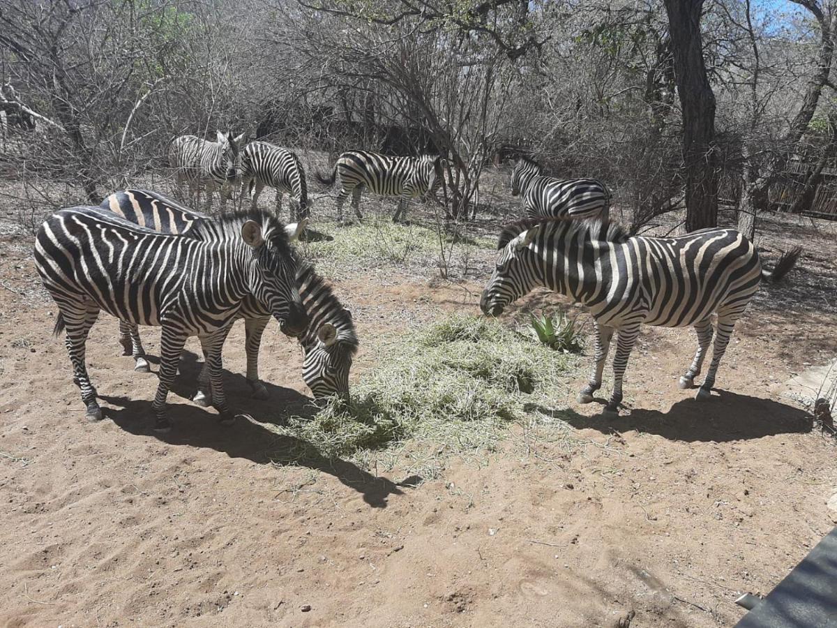African Bush Escape 말로스 파크 외부 사진