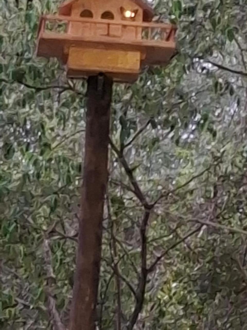 African Bush Escape 말로스 파크 외부 사진