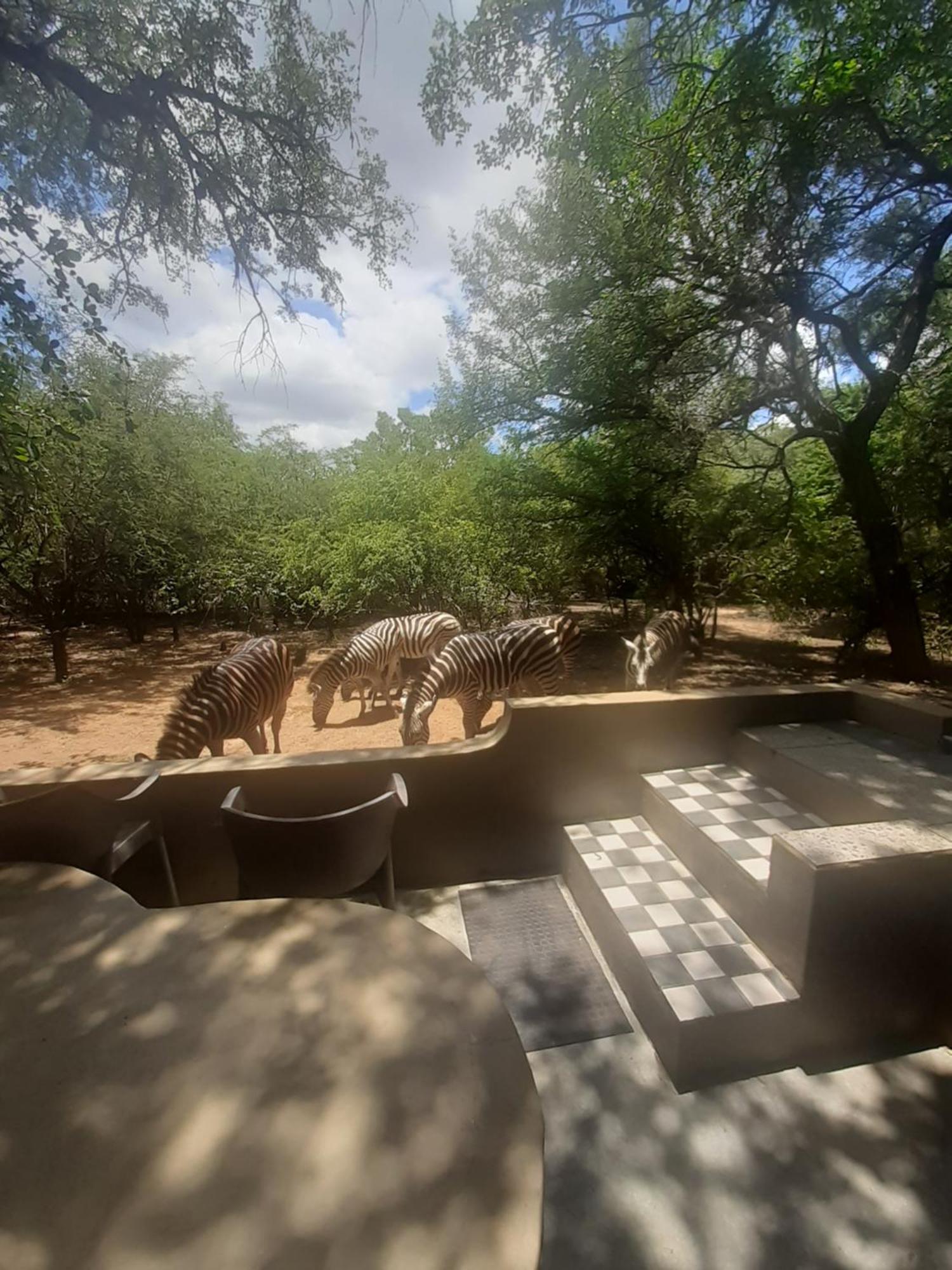 African Bush Escape 말로스 파크 외부 사진